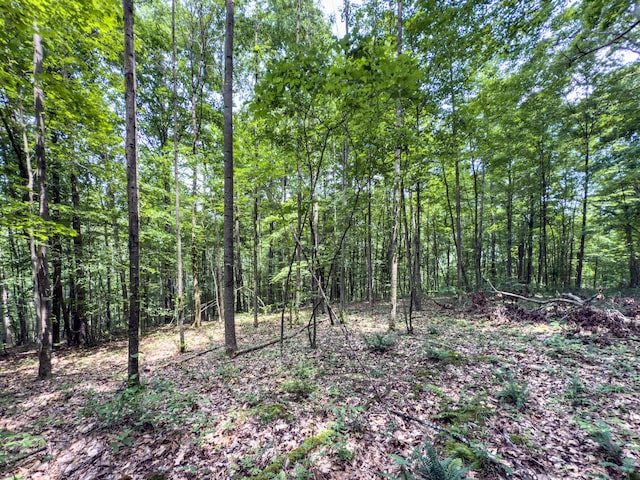 0 Cox, Vinton, OH 45686