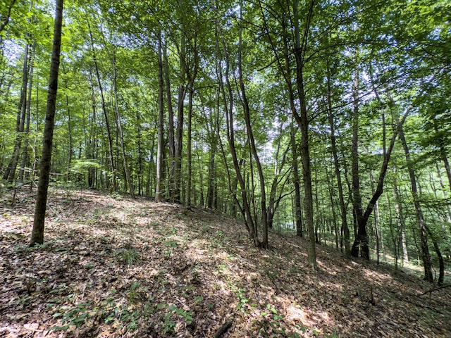 0 Cox, Vinton, OH 45686