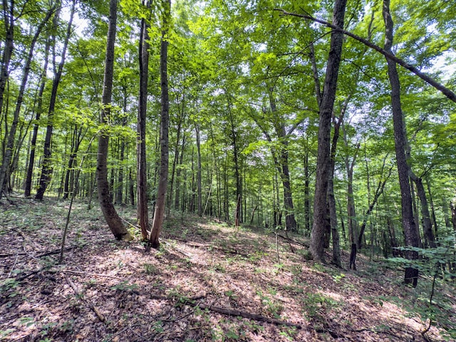 0 Cox, Vinton, OH 45686