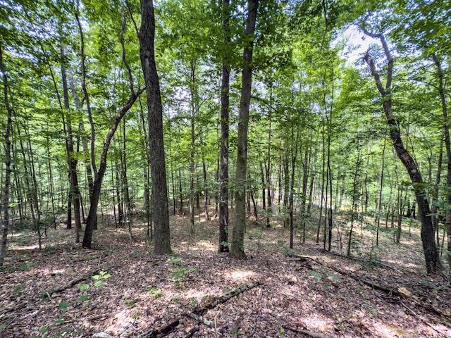 0 Cox, Vinton, OH 45686