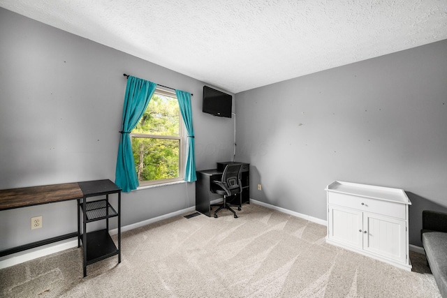 1191 Wexford Green Blvd, Columbus, OH 43228 - office with a textured ceiling and carpet floors