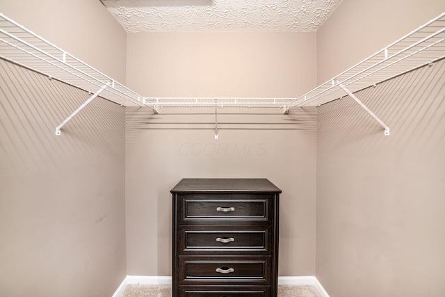1191 Wexford Green Blvd, Columbus, OH 43228 - spacious closet with carpet flooring