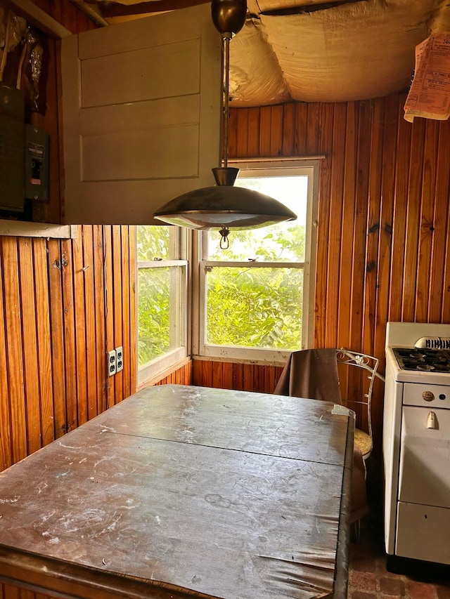 13428 King Rd NE, Thornville, OH 43076 - dining space featuring wooden walls, lofted ceiling, and electric panel