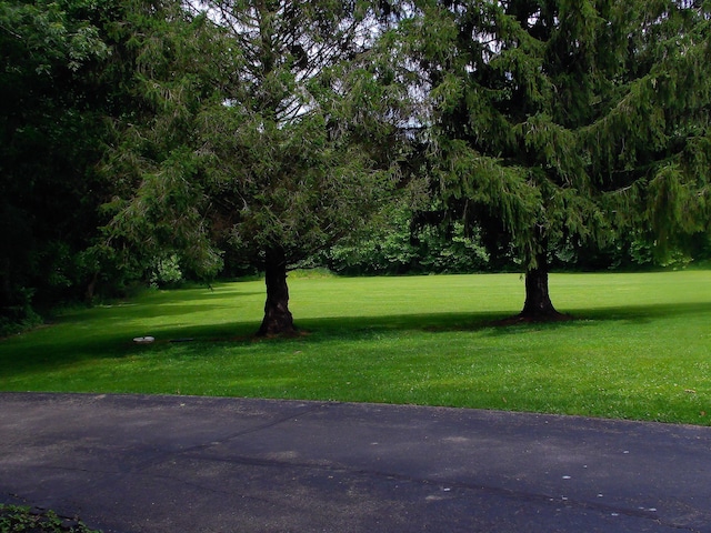 1110 Burr Oak Blvd, Nelsonville, OH 45764 - view of property's community featuring a yard