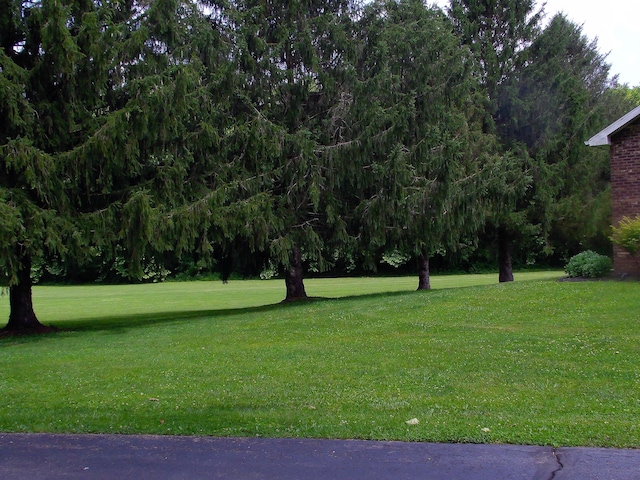 1110 Burr Oak Blvd, Nelsonville, OH 45764 - surrounding community featuring a yard