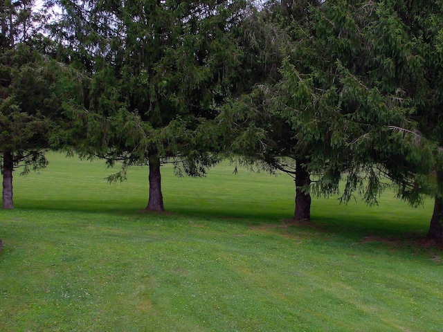 1110 Burr Oak Blvd, Nelsonville, OH 45764 - view of grassy yard