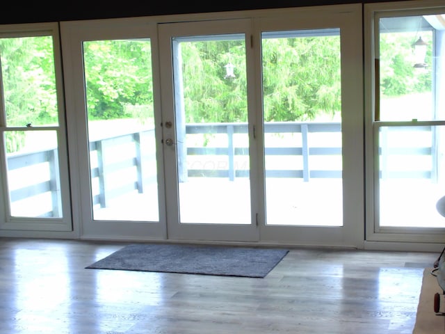 1110 Burr Oak Blvd, Nelsonville, OH 45764 - doorway to outside with healthy amount of natural light and wood finished floors