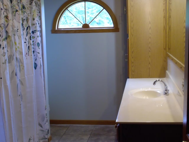 1110 Burr Oak Blvd, Nelsonville, OH 45764 - bathroom with vanity and curtained shower