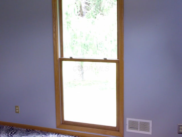 1110 Burr Oak Blvd, Nelsonville, OH 45764 - detailed view of baseboards