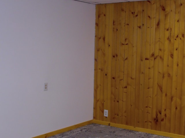 1110 Burr Oak Blvd, Nelsonville, OH 45764 - spare room featuring carpet floors and wood walls