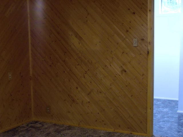 1110 Burr Oak Blvd, Nelsonville, OH 45764 - detailed view of baseboards