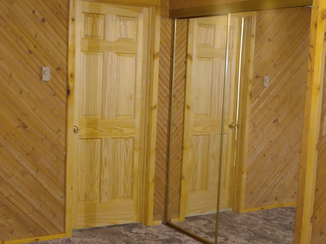 1110 Burr Oak Blvd, Nelsonville, OH 45764 - detailed view of carpet and wooden walls