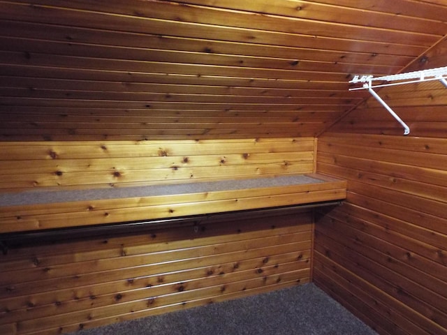 1110 Burr Oak Blvd, Nelsonville, OH 45764 - walk in closet with dark carpet