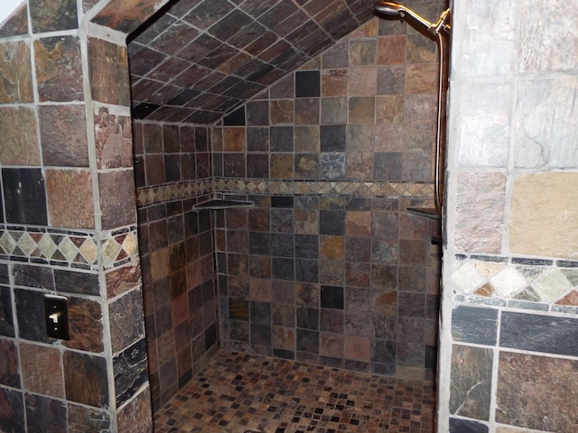 1110 Burr Oak Blvd, Nelsonville, OH 45764 - bathroom with a tile shower and lofted ceiling