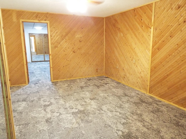 1110 Burr Oak Blvd, Nelsonville, OH 45764 - spare room with carpet and wood walls