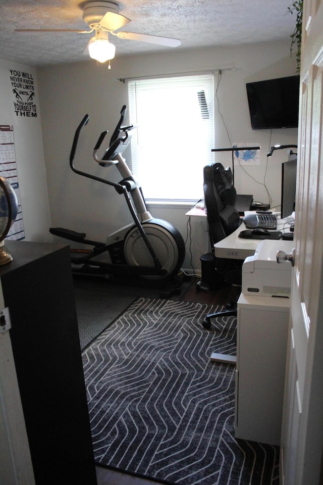 1261 Elm Park Pl, Galloway, OH 43119 - office space with a ceiling fan, a textured ceiling, and carpet