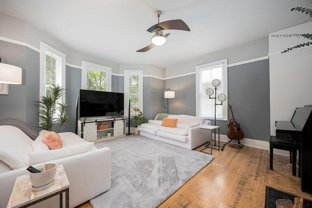 1066 City Park Ave, Columbus, OH 43206 - living room with ceiling fan and wood-type flooring