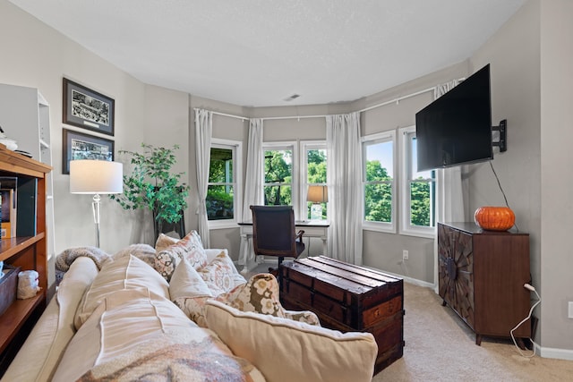 170 Joy Ln, Granville, OH 43023 - living area featuring healthy amount of natural light and carpet floors