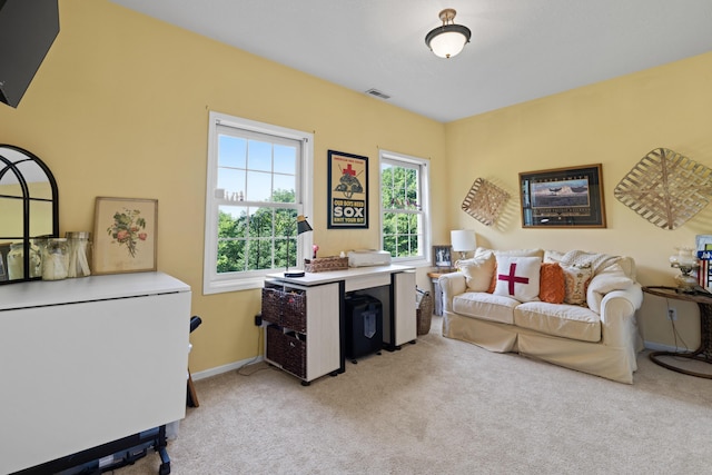 170 Joy Ln, Granville, OH 43023 - office space featuring light carpet