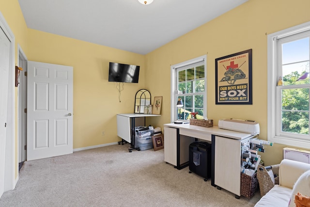 170 Joy Ln, Granville, OH 43023 - office space with light carpet and baseboards