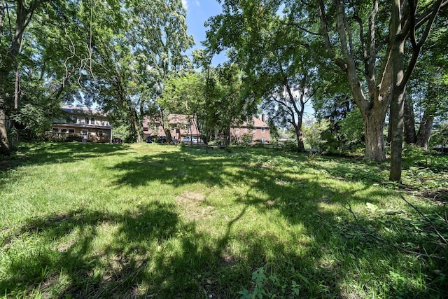 984 N Nelson Rd, Columbus, OH 43219 - photo 37