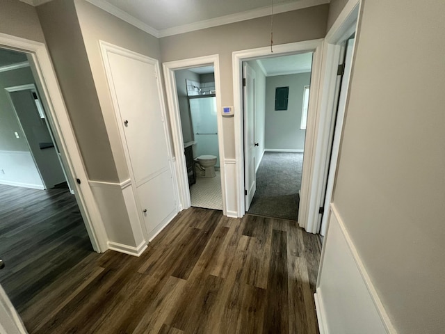 965 Francis Ave, Columbus, OH 43209 - hall with dark wood-type flooring, crown molding, and attic access