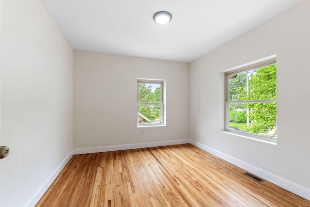 992 N Nelson Rd, Columbus, OH 43219 - spare room featuring plenty of natural light and light wood-type flooring