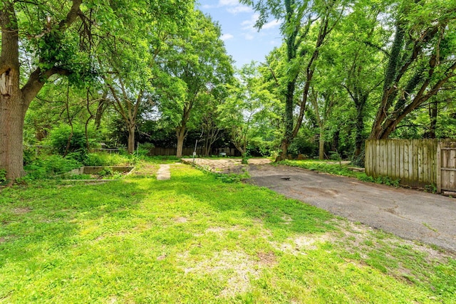 992 N Nelson Rd, Columbus, OH 43219 - view of yard