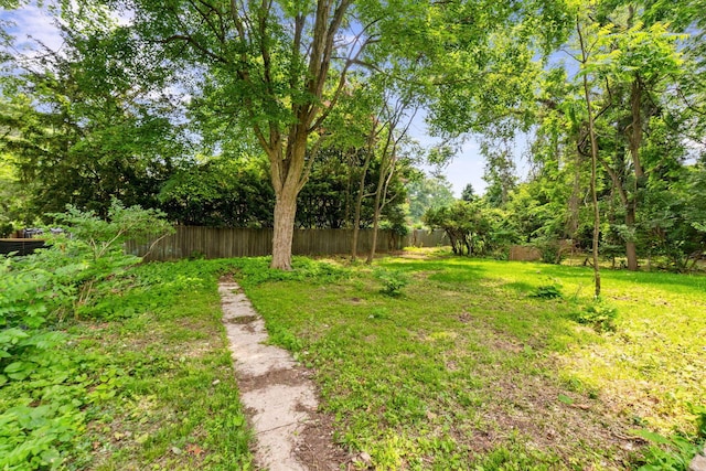 992 N Nelson Rd, Columbus, OH 43219 - view of yard