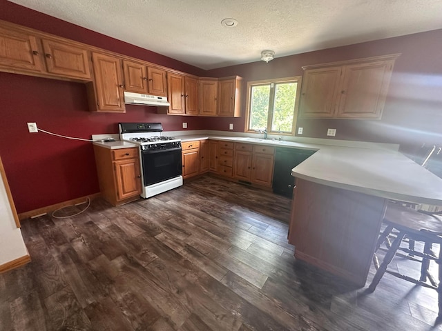 477 Greenlawn Dr, Howard, OH 43028 - kitchen with white range with gas stovetop, under cabinet range hood, a peninsula, dark wood-style flooring, and light countertops