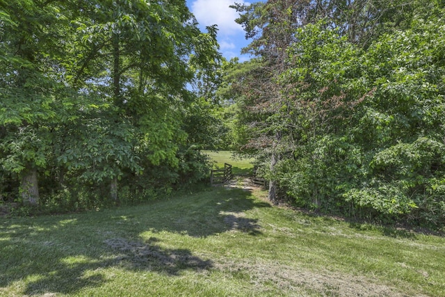 10156 Marysville Rd, Ostrander, OH 43061 - photo 78