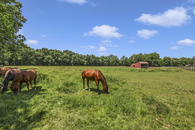 10156 Marysville Rd, Ostrander, OH 43061 - photo 45