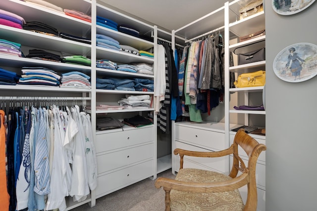 5650 Tynecastle Loop, Dublin, OH 43016 - walk in closet with carpet floors
