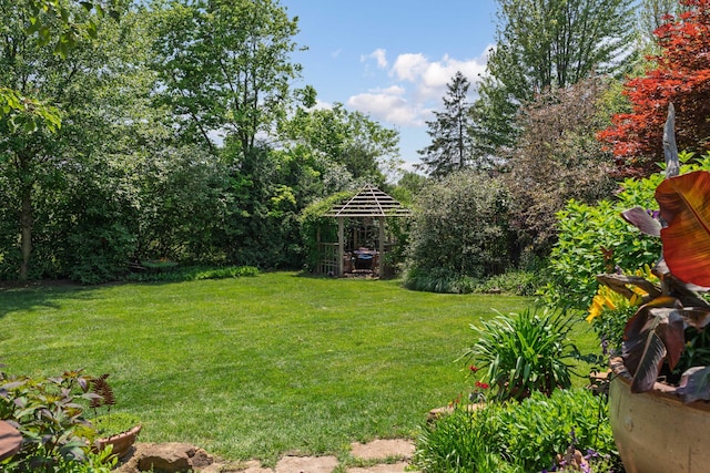 5650 Tynecastle Loop, Dublin, OH 43016 - view of grassy yard