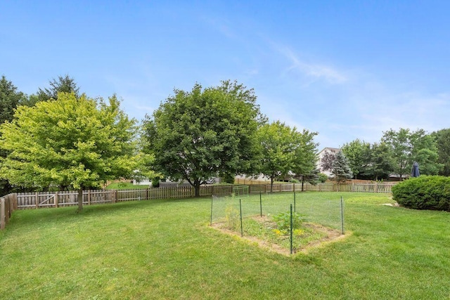 6983 Pearce Ln, Canal Winchester, OH 43110 - photo 55