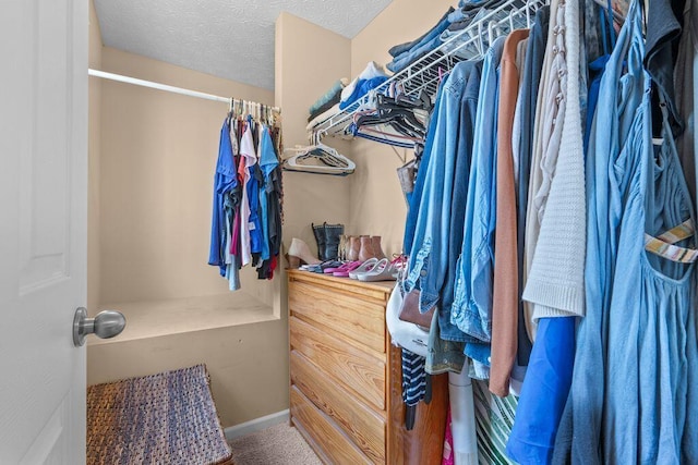 7780 Freesia St Unit 228, Blacklick, OH 43004 - walk in closet with carpet flooring