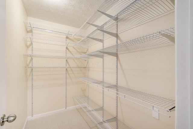 5595 Marshfield Dr, Westerville, OH 43081 - walk in closet with carpet floors