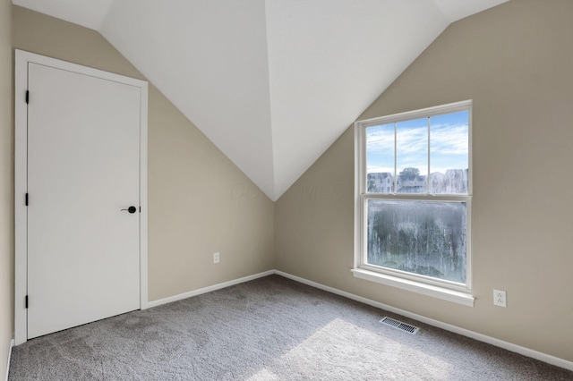 156 E Postal Ave, Newark, OH 43055 - bonus room with lofted ceiling and carpet floors