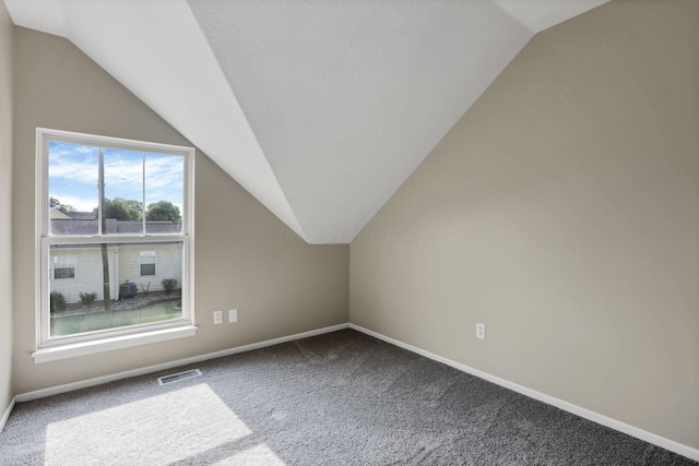 156 E Postal Ave, Newark, OH 43055 - bonus room featuring vaulted ceiling and carpet flooring
