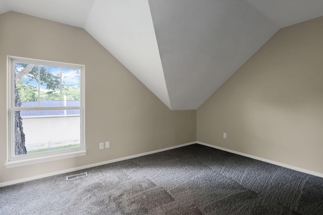 156 E Postal Ave, Newark, OH 43055 - additional living space with vaulted ceiling and carpet