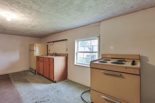 156 E Postal Ave, Newark, OH 43055 - kitchen with white appliances, light carpet, brown cabinetry, and light countertops