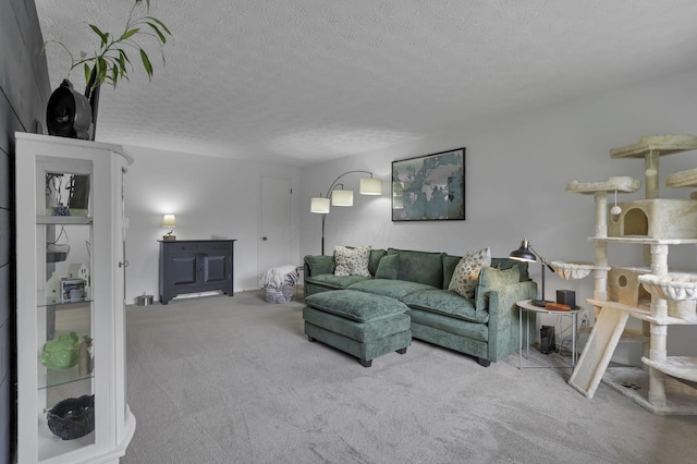 5252 Roche Pl, Columbus, OH 43229 - carpeted living area featuring a textured ceiling