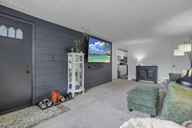 5252 Roche Pl, Columbus, OH 43229 - living room with light colored carpet, a textured ceiling, and wood walls