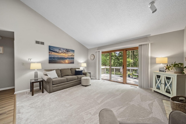 7982 Lewis Ave Unit 21, Dublin, OH 43017 - living room featuring a textured ceiling, high vaulted ceiling, carpet floors, and wood finished floors