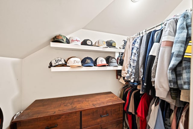 94 W Waterloo St, Canal Winchester, OH 43110 - spacious closet featuring lofted ceiling
