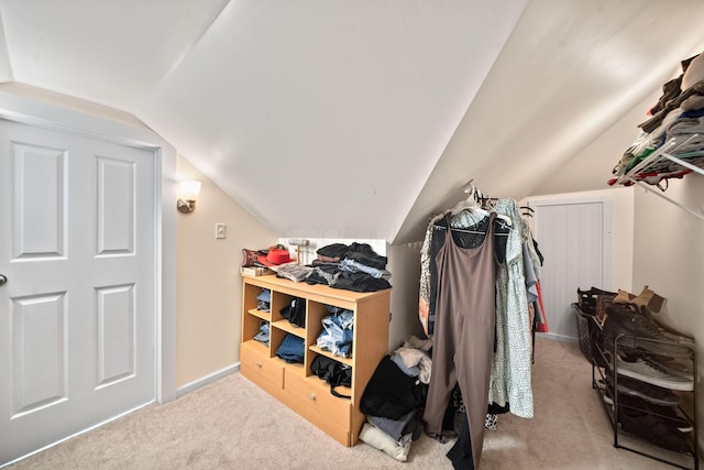 94 W Waterloo St, Canal Winchester, OH 43110 - walk in closet featuring carpet flooring and vaulted ceiling