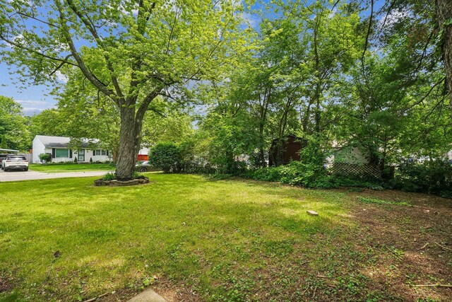 6048 Pinemoor St, Columbus, OH 43229 - photo 20