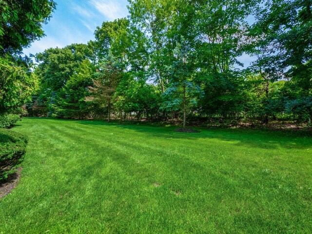 6003 Dunabbey Loop, Dublin, OH 43017 - view of grassy yard