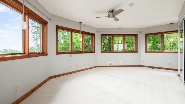 234 Ames Dr, Dresden, OH 43821 - photo 29