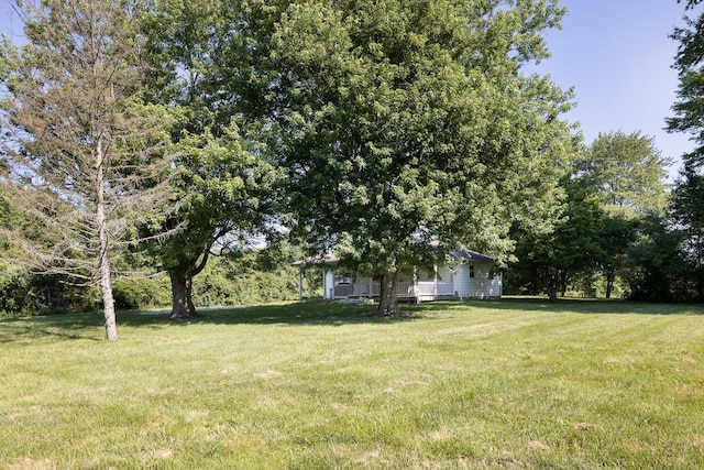 7585 Morse Rd, New Albany, OH 43054 - photo 39